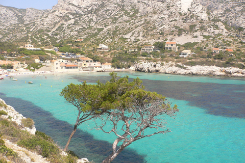 Depuis Bandol : Visite des 13 calanques de Cassis &amp; Marseille