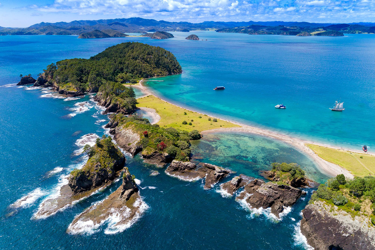 Auckland: Tour di un giorno della Baia delle Isole con crociera con i delfini