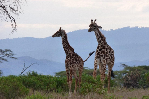 Nairobi: Crescent Island Walking Safari and Lake Naivasha Shared: Crescent Island and Lake Naivasha without Entry Fee
