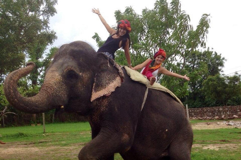 Jaipur: Hathigao Elephant Village Ride, Feeding, & Photos Riding, Feeding, Climbing And Photography with Elephant