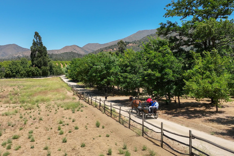 Curacaví Valley: Private Wine Tour of Viña Lopez Pangue and El Cuadro Curacaví Valley: Private Wine Route Tour - Viña Lopez Pangue and El Cuadro