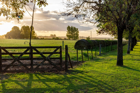 Dia Gaucho - Traditionell argentinsk estancia i utkanten av Buenos Aires