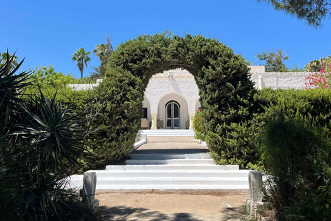 Half-Day Hammamet: History, Gardens, and Medina Half-Day Hammamet Tour: History, Gardens, and Medina