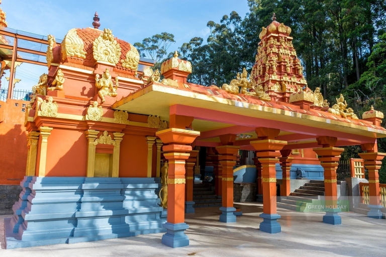 Viaje de ida y vuelta de Kandy a Nuwara Eliya en excursión de un día en TukViaje de ida y vuelta de Kandy a Nuwara Eliya ii