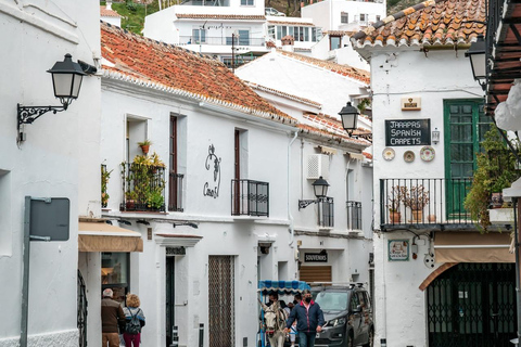 Málaga: Marbella, Mijas,Puerto Banús, Colomares Castle Tour