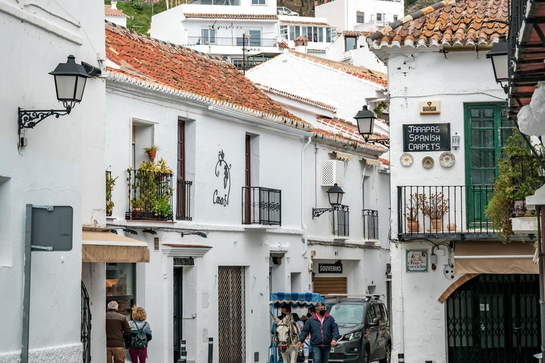 Málaga: Marbella, Mijas,Puerto Banús, Colomares Castle Tour