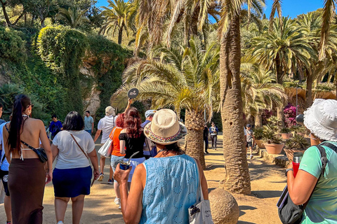 Barcelona: Park Güell Guided Tour with Skip the Line Ticket Spanish Tour
