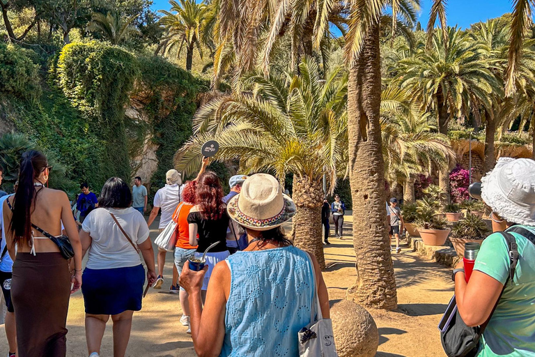 Barcelona: Park Güell Guided Tour with Skip the Line Ticket Spanish Tour