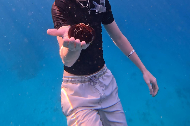 Waikiki : Visite en petit groupe du Turtle Canyon avec masque et tuba