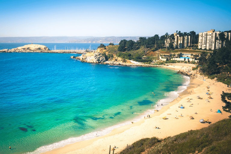 ISLA NEGRA AND ALGARROBO WITH VINICOLA UNDURRAGA - TOUR : CHILE