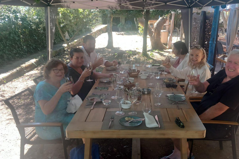 DOURO VALLEY: Premium Wine Tour, Cruise & Winery´s Lunch Shared Group Tour with Hotel Pick-up and Drop-Off