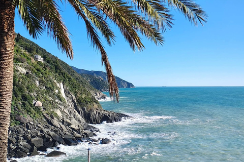 Florence to Cinque Terre e Pisa: Private Full-Day Tour