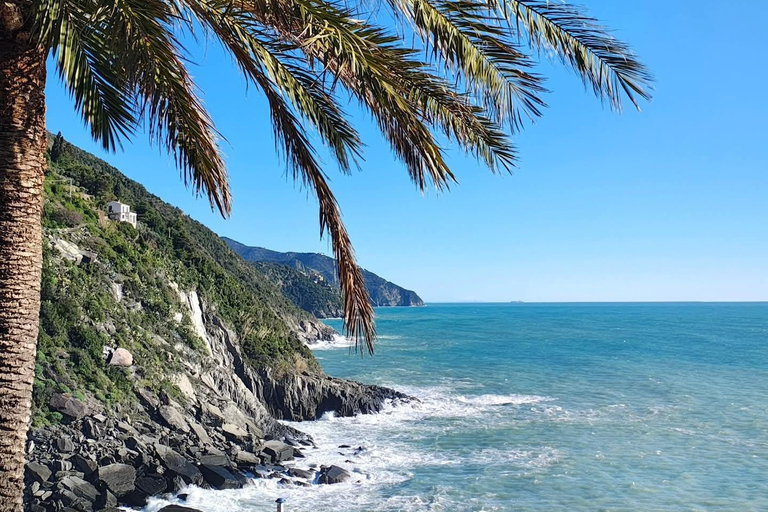 Florence to Cinque Terre e Pisa: Private Full-Day Tour