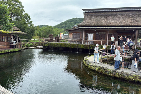 From Kanazawa/Takayama: Shirakawa-go & Takayama Private Tour