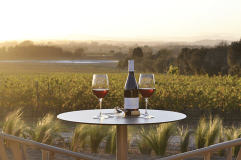 Pals: Visit the Mas Geli winery with a wine tasting Pals: Visit Celler Mas Geli with wine tasting (Spanish/Catalan)