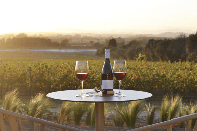 Pals: Visit the Mas Geli winery with a wine tasting Pals: Visit Celler Mas Geli with wine tasting (Spanish/Catalan)