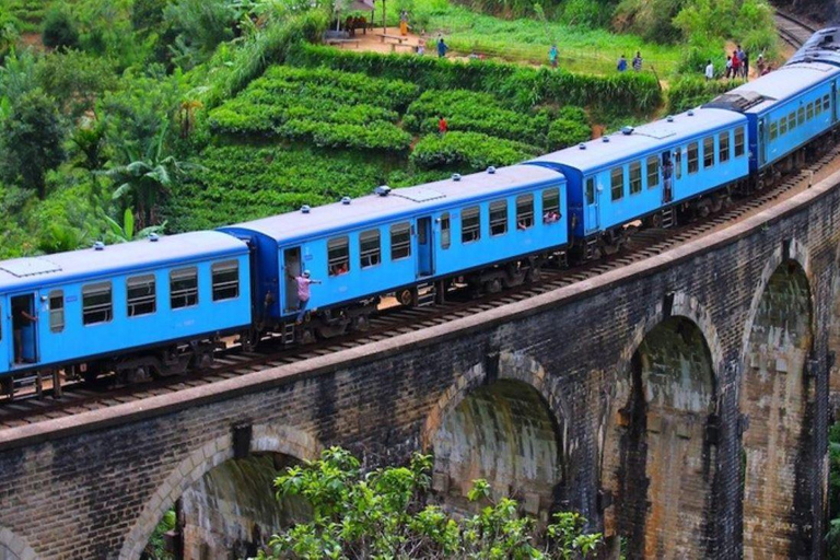 7- Days Sri Lanka Private Tour Package with 4*Hotels & Meals