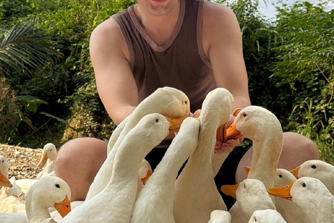 Hoi An: Duck Stop Farm Experience & Rural Adventure