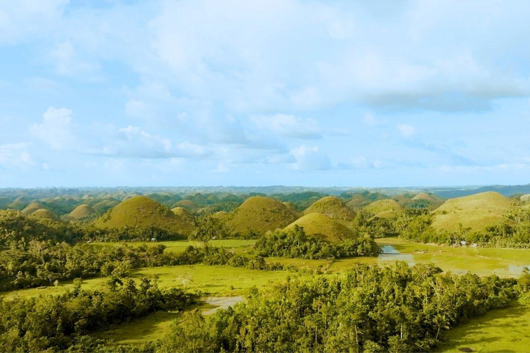 Bohol: Chocolate Hills & Tarsiers Private Tour with Driver Bohol: Car/SUV/Van-only Affordable Private Tour