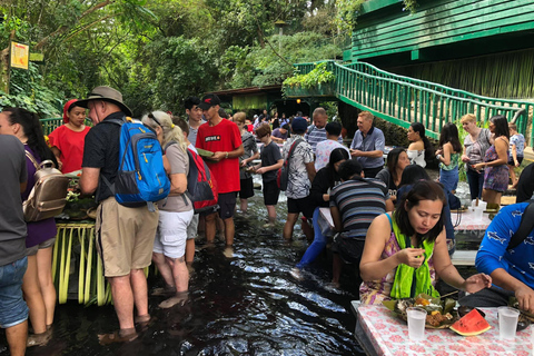 Manila: Villa Escudero: Tour de um dia com almoço e transferes PRIVADO