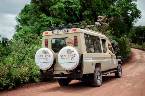 Arusha: Ngorongoro Crater & Tarangire 2-Day Safari Tour