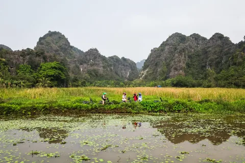 Excursión en E-Bike por Ninh Binh - Paisajes Secretos de Tam Coc