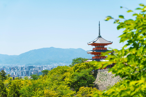 Kyoto - en dag Nijo slott, Sanzenin tempel och Kibune dagsturKyoto - en dagstur Nijo slott, Sanzenin tempel och Kibune dagstur