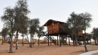 高架树屋在Ras Al Khaimah的露营过夜露营 - Housity