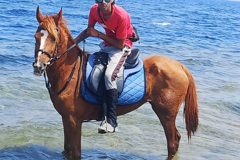 Makadi Bay: ATV, Horse, and Camel Ride Tour