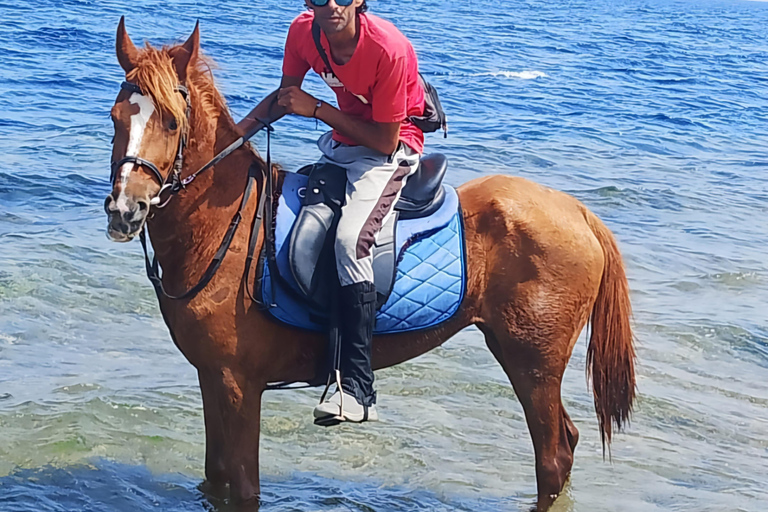 Makadi Bay: ATV, Horse, and Camel Ride Tour