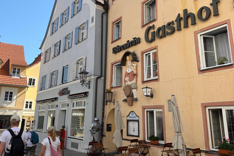 From Zurich: Private 4-Country Day Trip with Driver