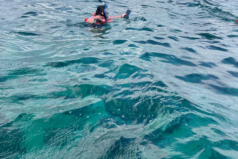 Katamarankryssning och snorkling från Montego Bay