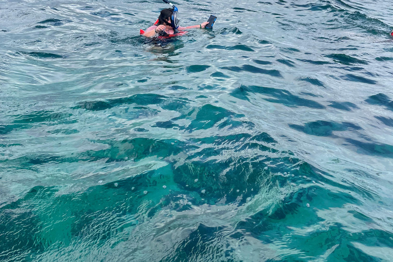 Cruzeiro em catamarã e mergulho com snorkel saindo de Montego Bay