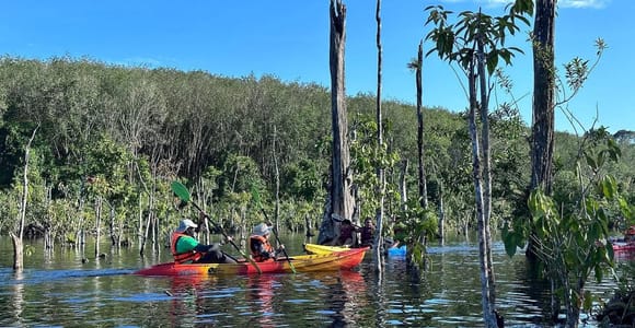 Krabi: Half-Day Elephant Bathing & Kayaking Experience