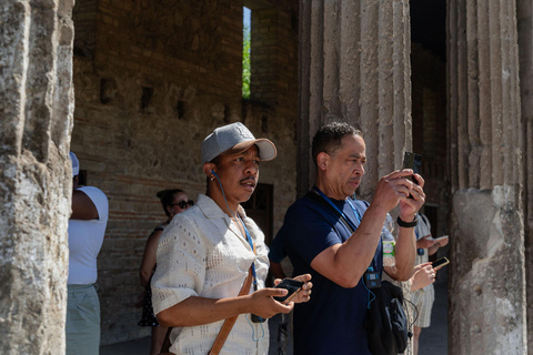 From Naples: Pompeii Shore Excursion for Cruisers with Guide From Pompeii: Guided Tour + Entry Ticket