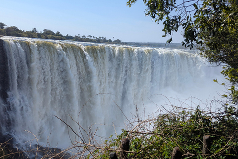 Victoria Falls Cross-Border Tour:Big Tree & Historic Bridge