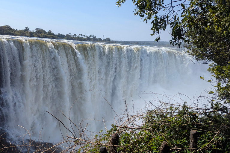 Victoria Falls Cross-Border Tour:Big Tree & Historic Bridge