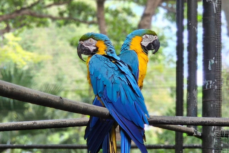 South Discovery :Wild Life Safari at Casela Park with Lunch