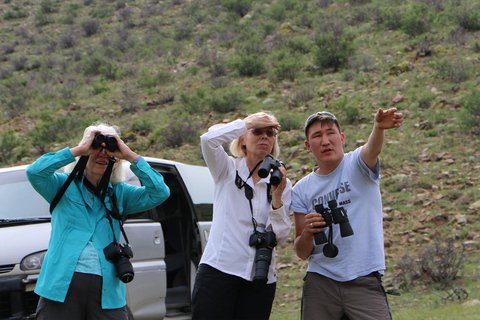 Ulaanbaatar: Nomadic Culture Show & Wild Horse Park Day Tour