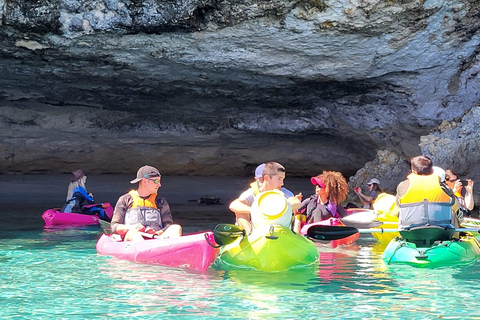 Bonifacio: Guided tour of the caves and cliffs with a swim