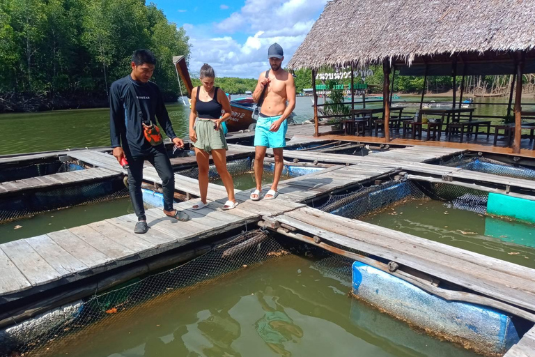 Ko Lanta : Visite d'une demi-journée en kayak dans la mangrove avec déjeuner