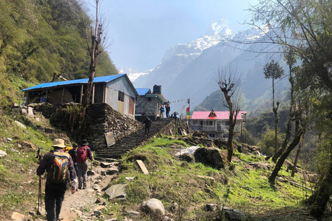 Trekking Rápido al Campo Base del Annapurna - 9 Días