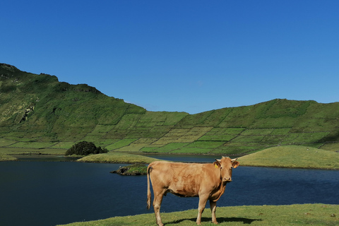 Visite d&#039;une demi-journée au fromage de Sao Jorge