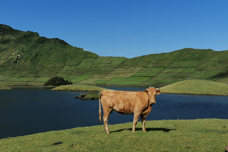 Visite d&#039;une demi-journée au fromage de Sao Jorge