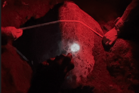 Turtle Night Tour in Isla Cañas