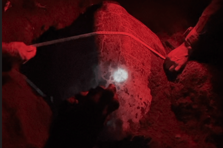 Turtle Night Tour in Isla Cañas