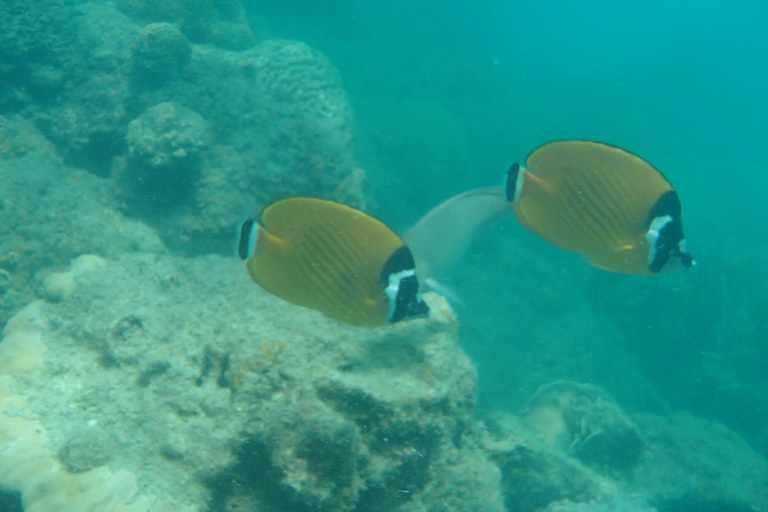 Ang Thong Full-Day Cruise with Sunset by The Red Baron Boat