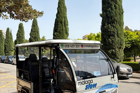 Málaga: Private Tuk Tuk Sightseeing Tour of the City and Gibralfaro