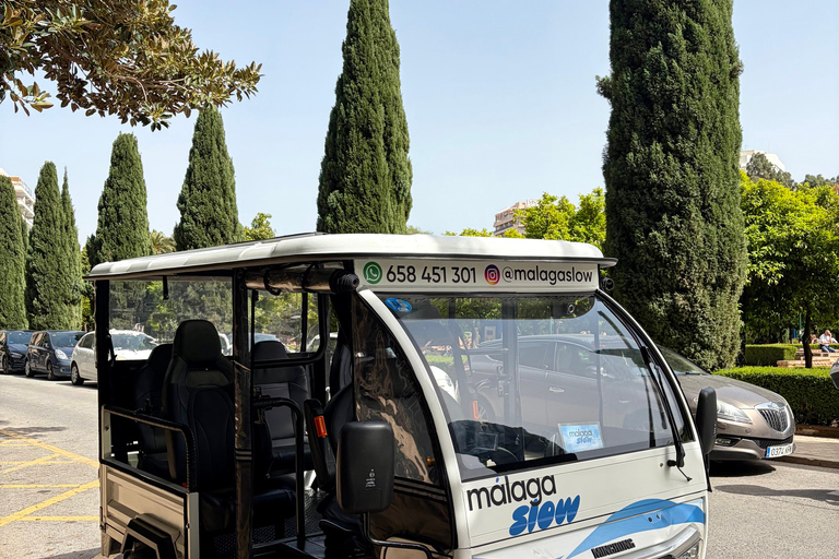 Málaga: Private Tuk Tuk Sightseeing Tour of the City and Gibralfaro