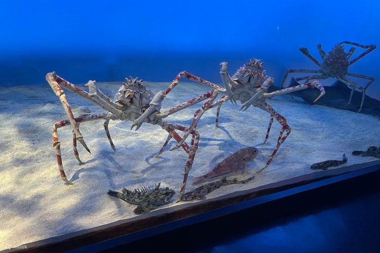 Nagoya Return, Ise Shrine, Mikimoto Pearl Island & Toba Tour